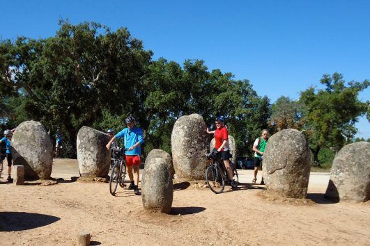 Half and full day bike tours