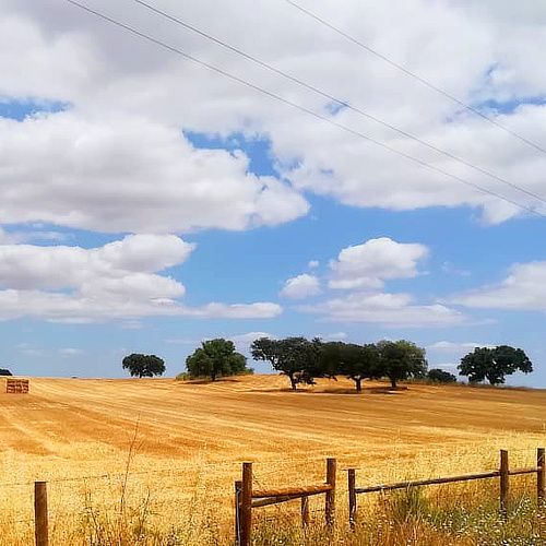 Instagram Five, Cycling Portugal