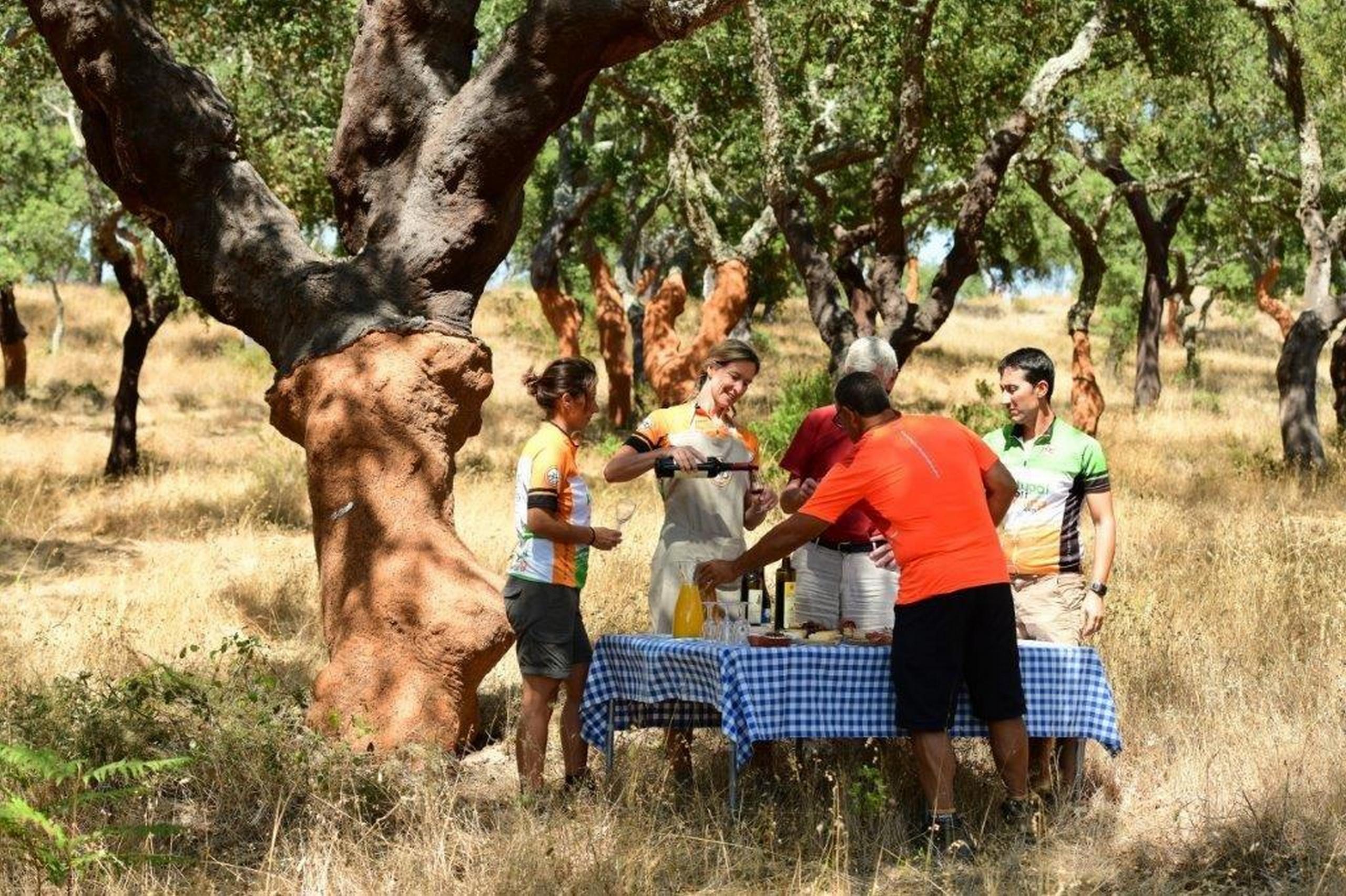 Picnic in our gourmet cycling tours