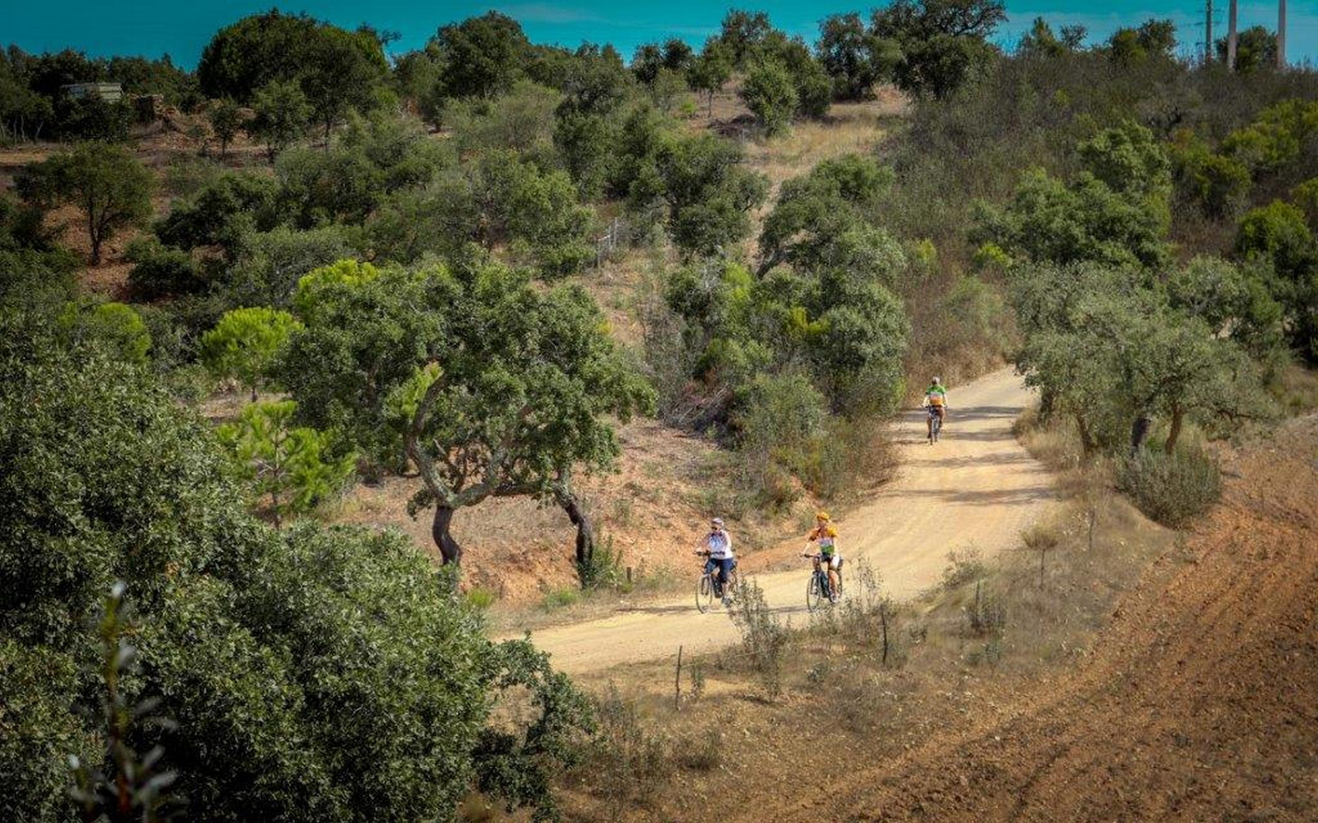 E-bike tours in Portugal