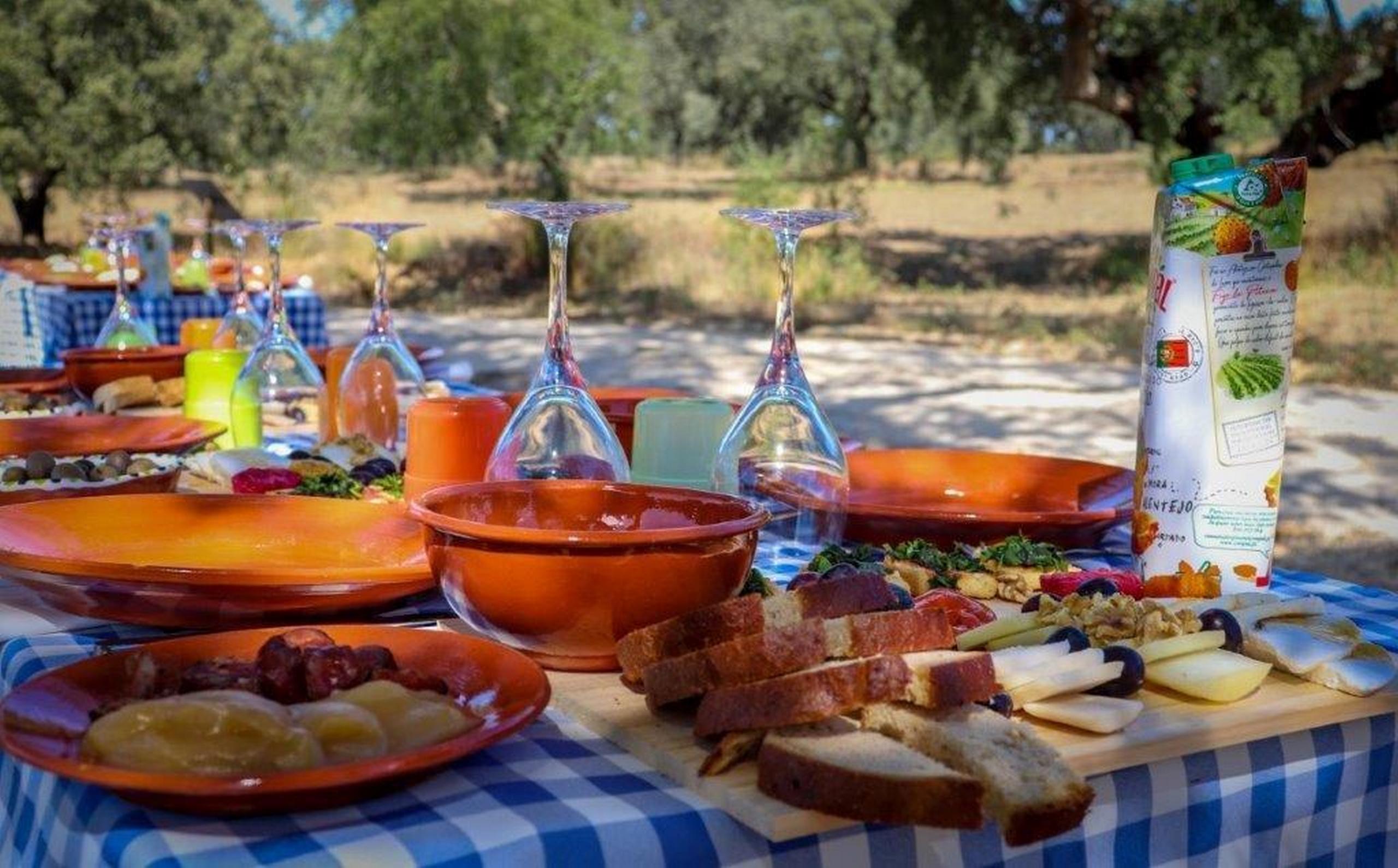 Picnic in our gourmet cycling tours